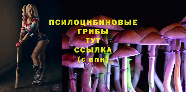 гидра Верхнеуральск