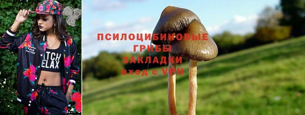 дмт Верхний Тагил