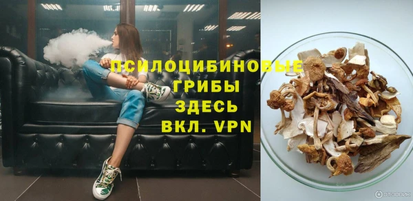 дмт Верхний Тагил
