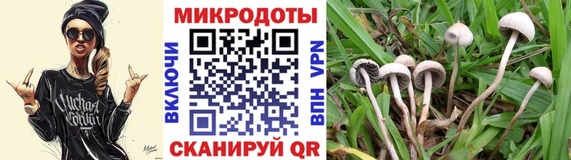 Псилоцибиновые грибы Cubensis  Кизилюрт 
